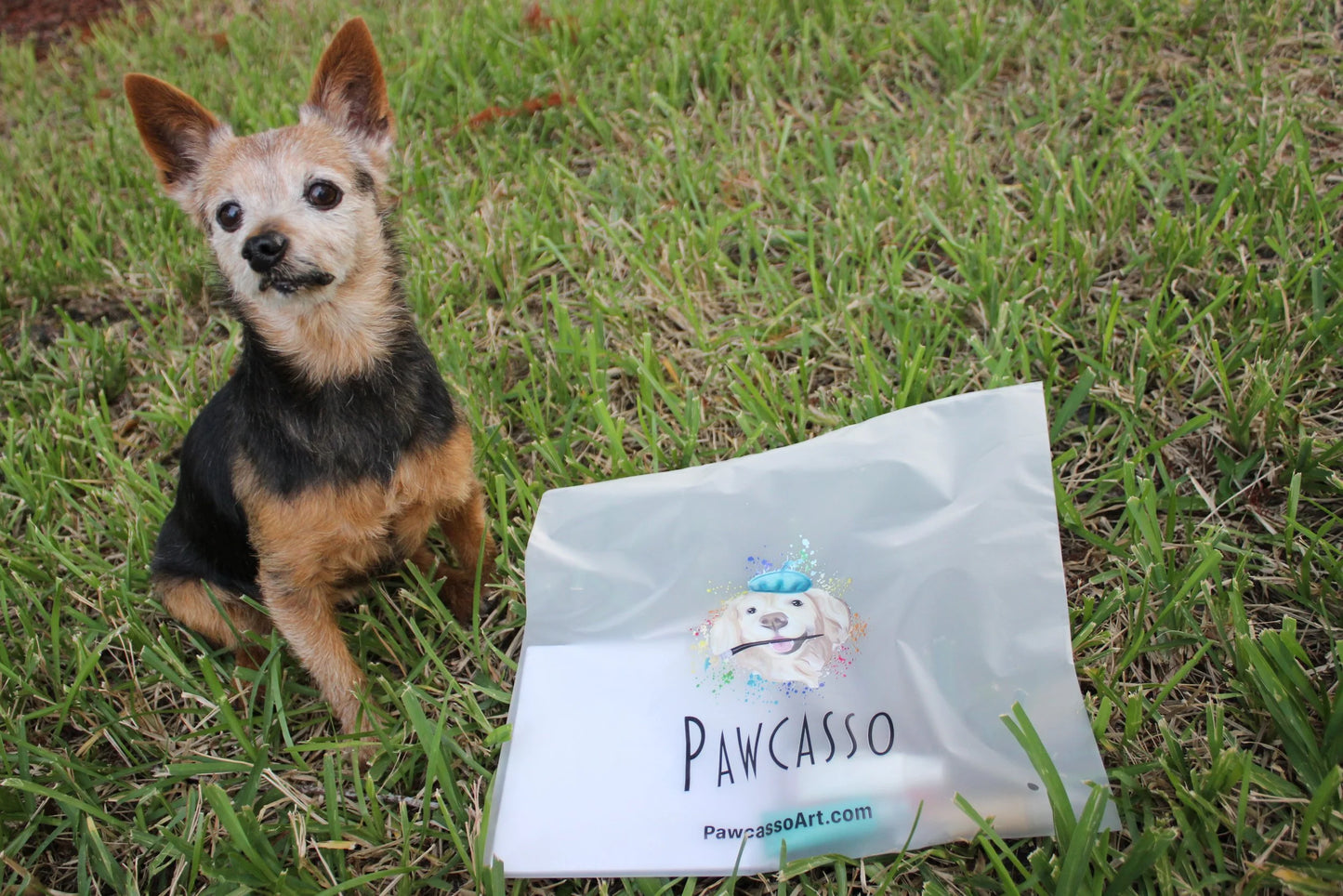 dog art kits