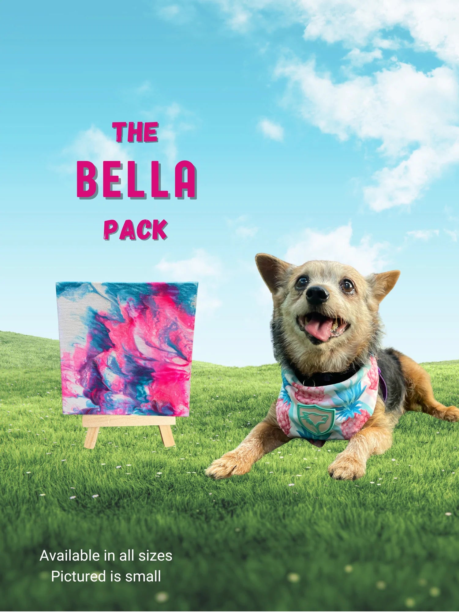Pawcasso Inspired Art Kits