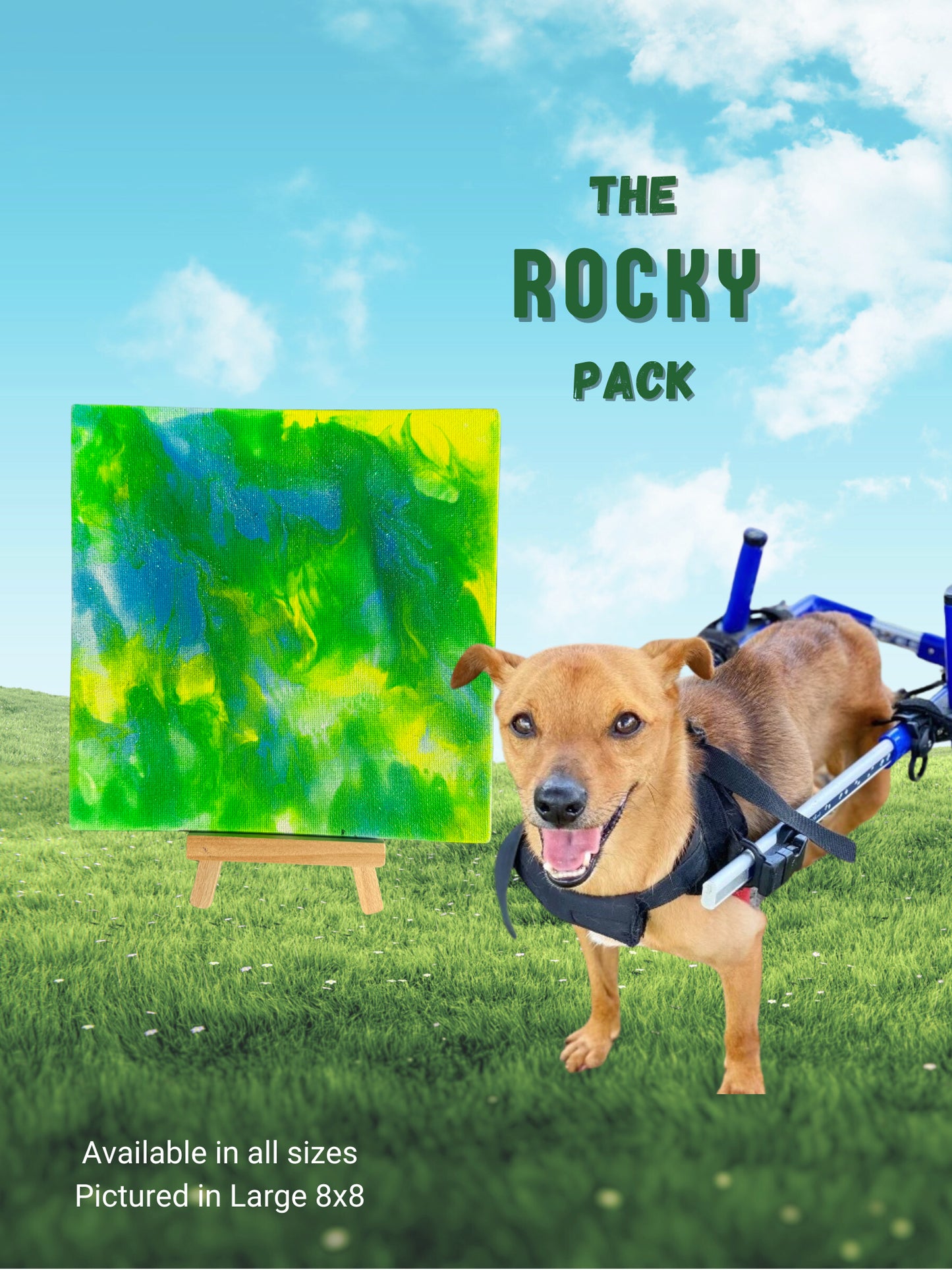 Pawcasso rocky art kit