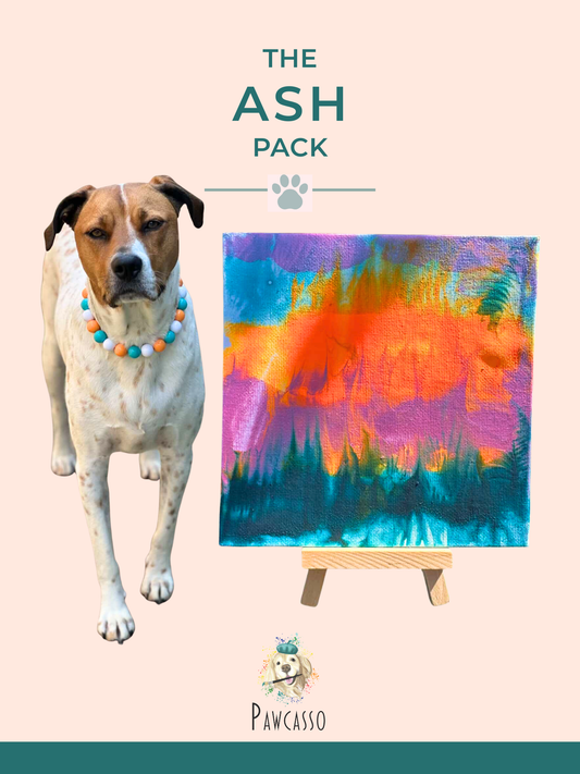 Ash Pack Mess Free Dog Painting Art Kit Pawcasso Cover