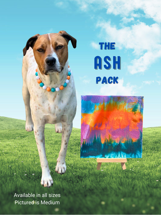 pawcasso Ash art kit