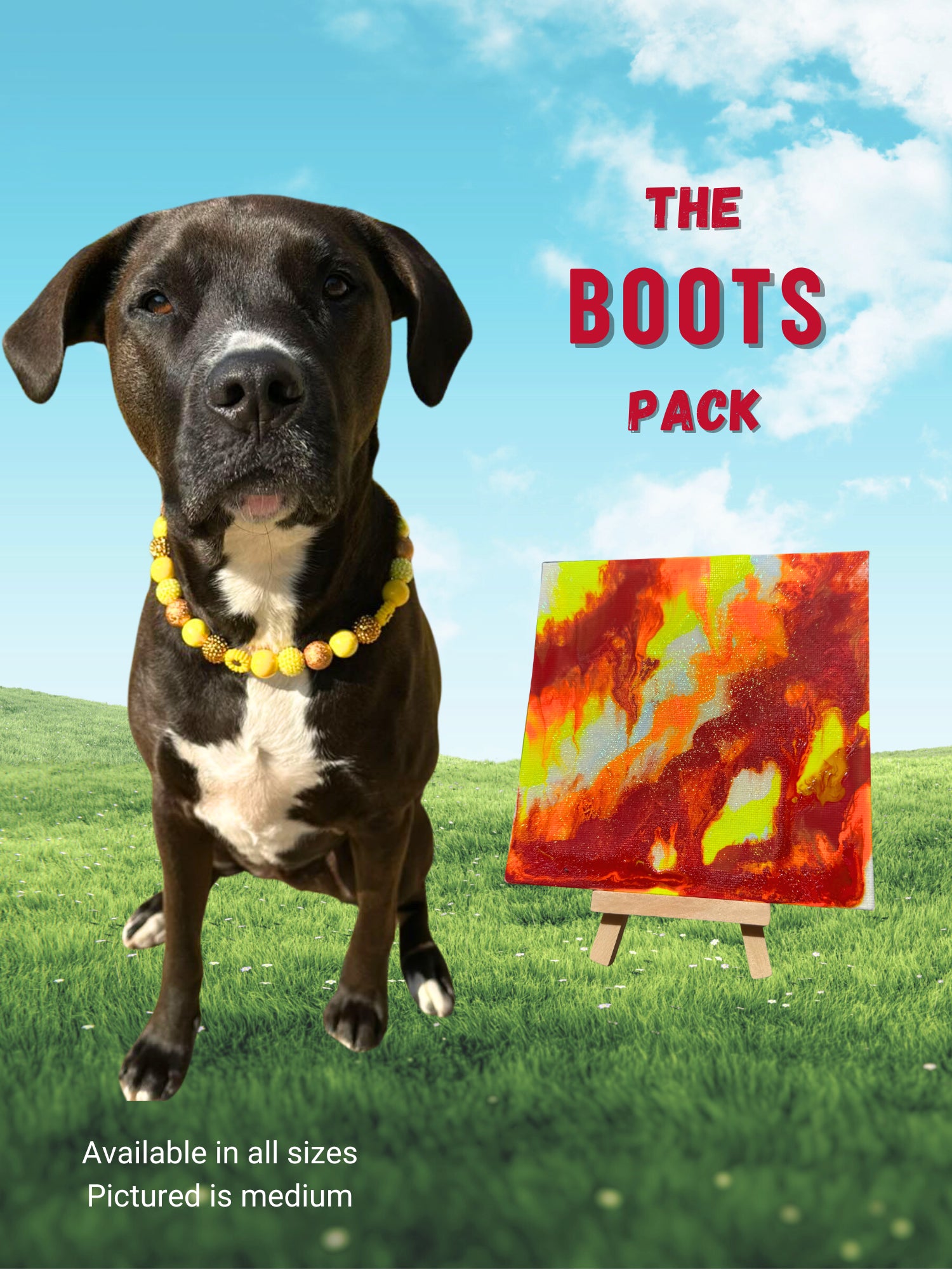 pawcasso boots art kit