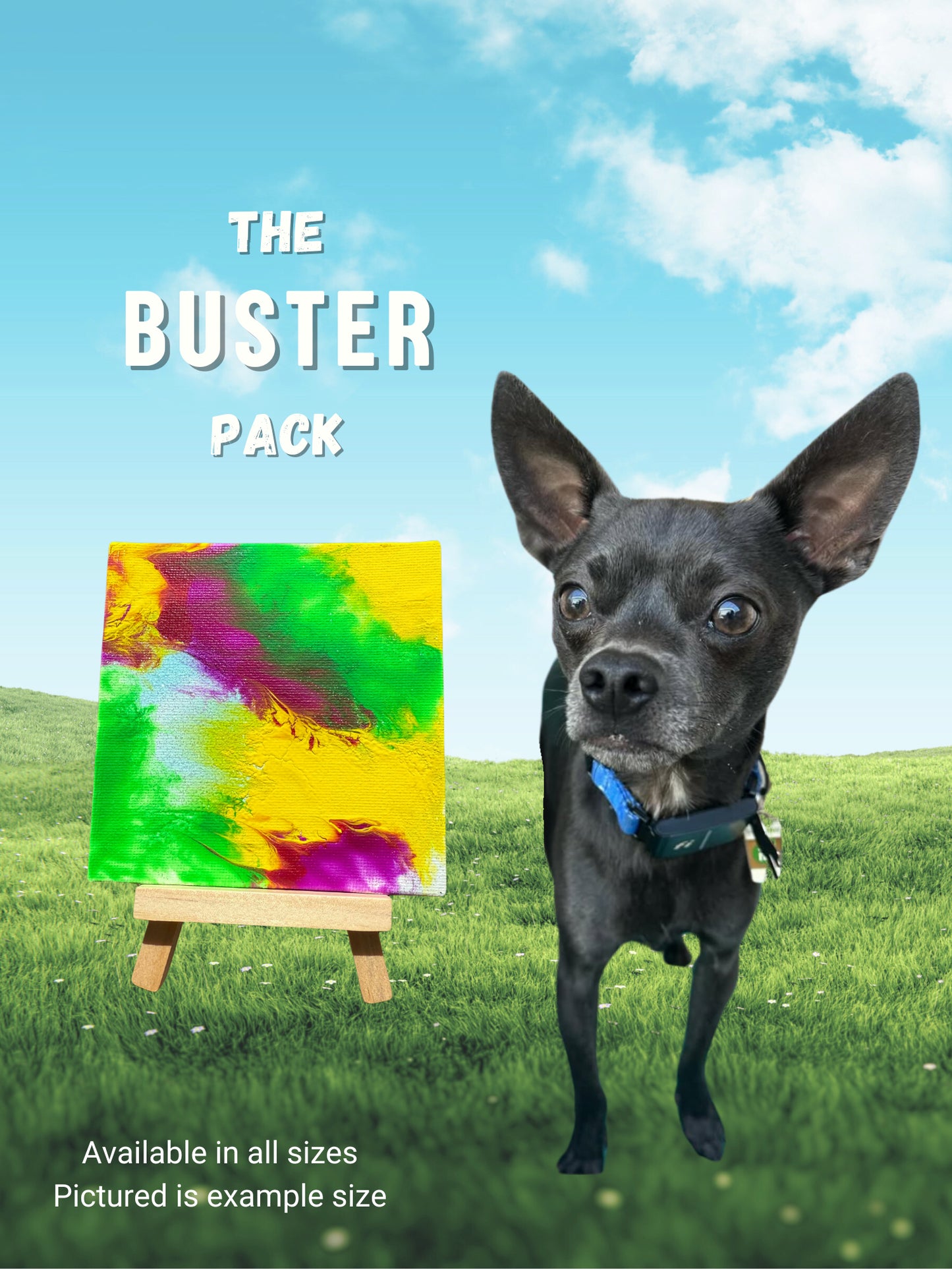 pawcasso buster art kit