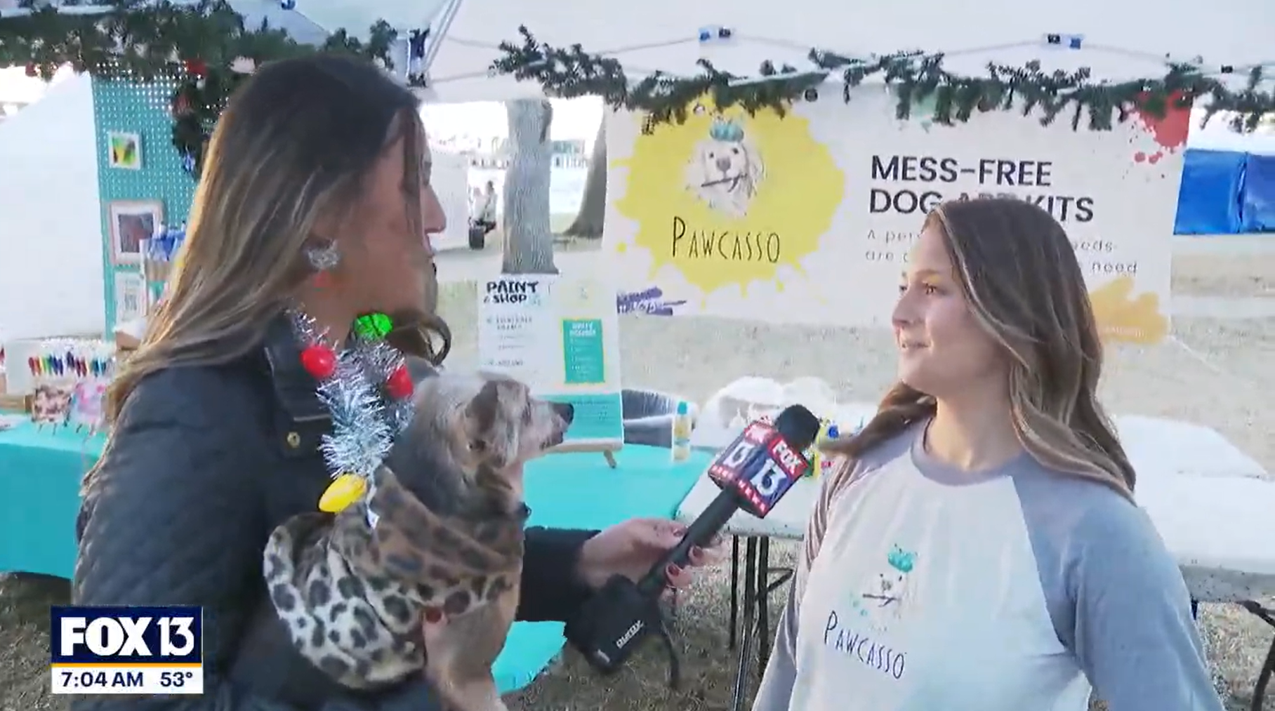 Load video: Casey Finestone Pawcasso Live interview with Fox13 Tampa Bay's Regina Gonzalez
