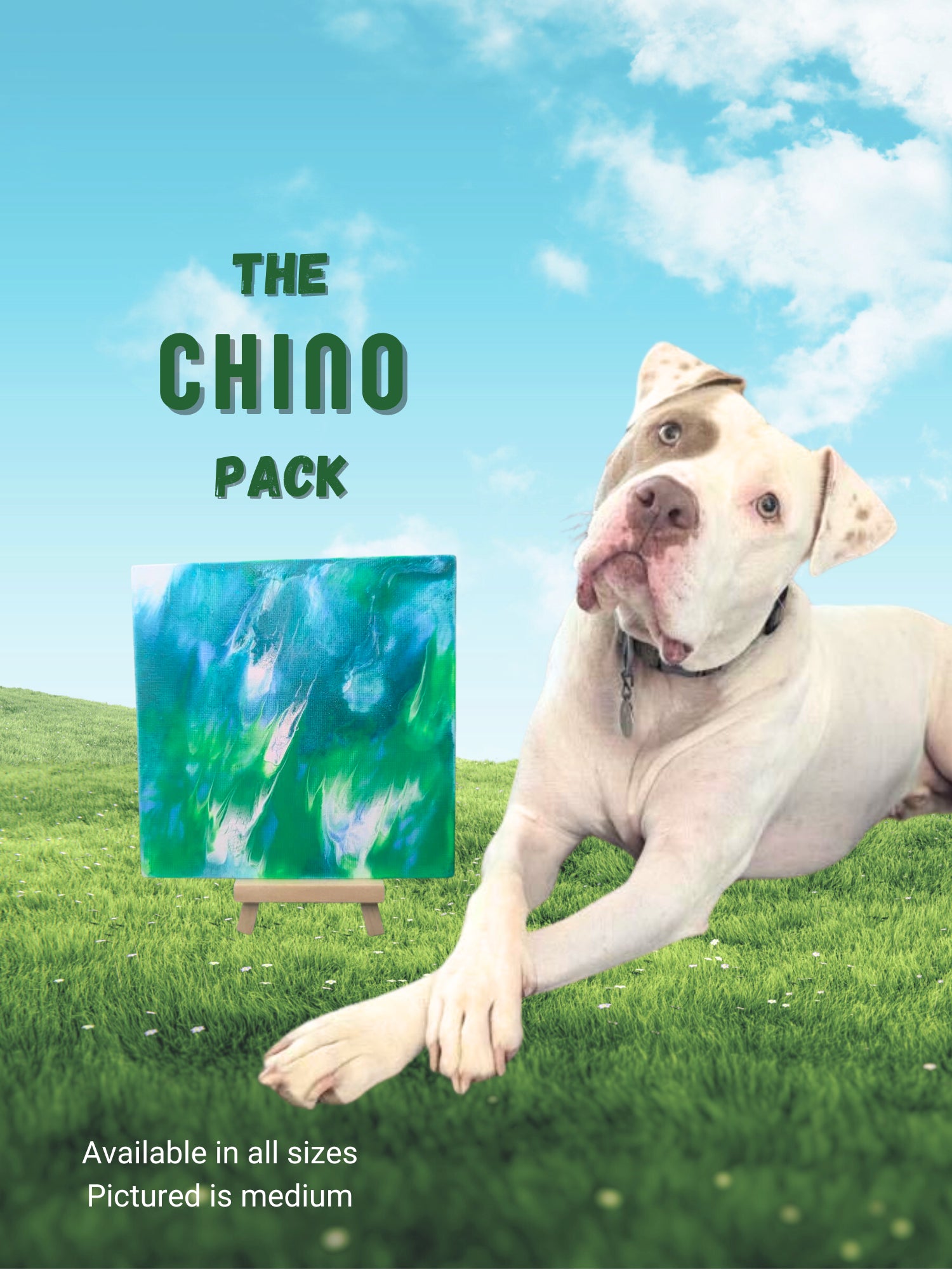 pawcasso chino art kit