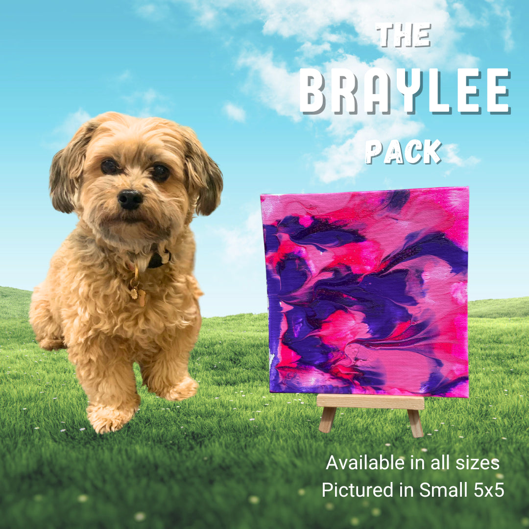 Pawcasso Braylee art kit