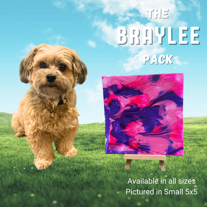 Pawcasso Braylee art kit