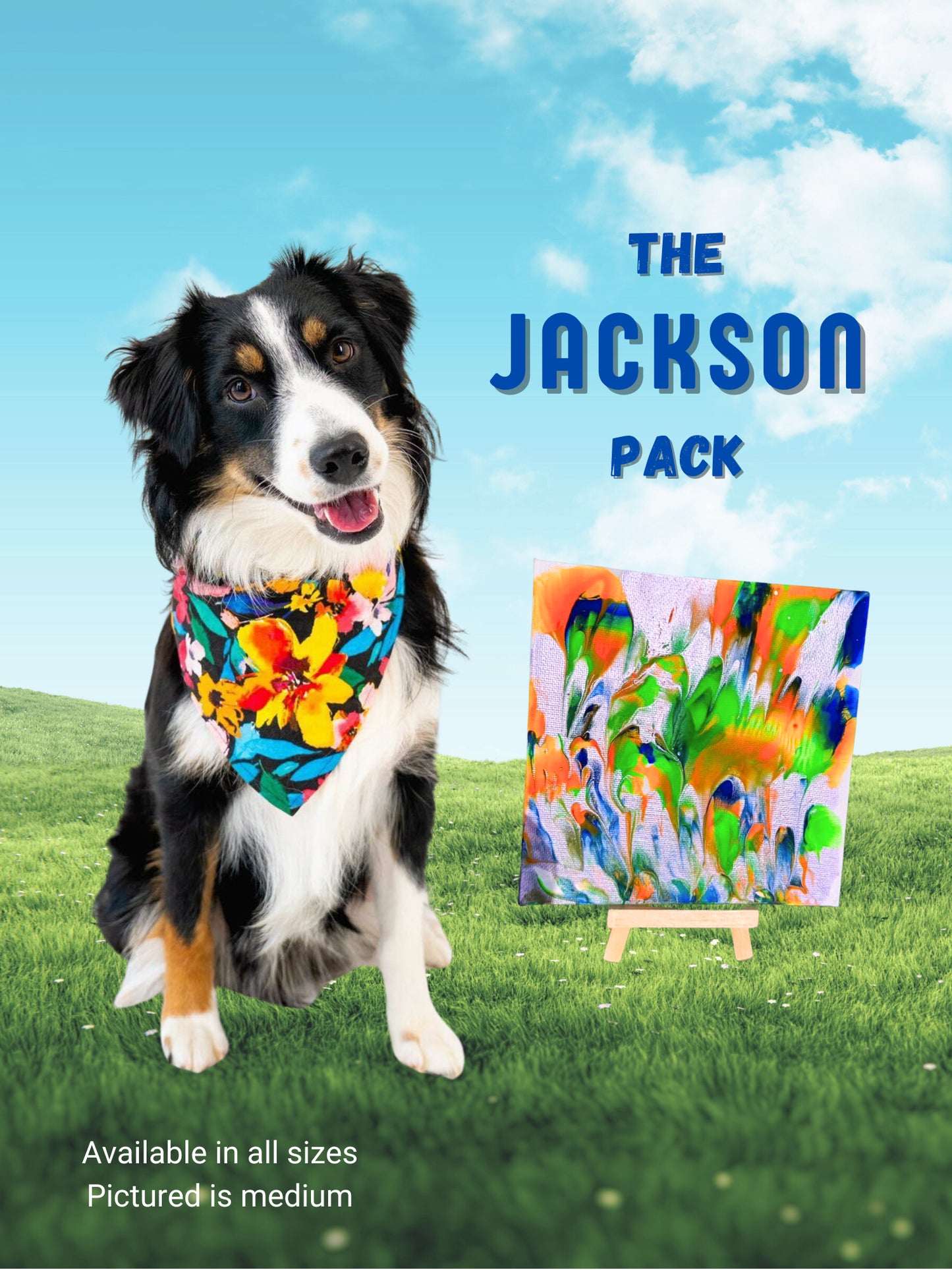 pawcasso jackson art kit