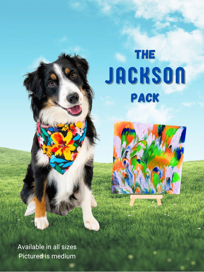 pawcasso jackson art kit