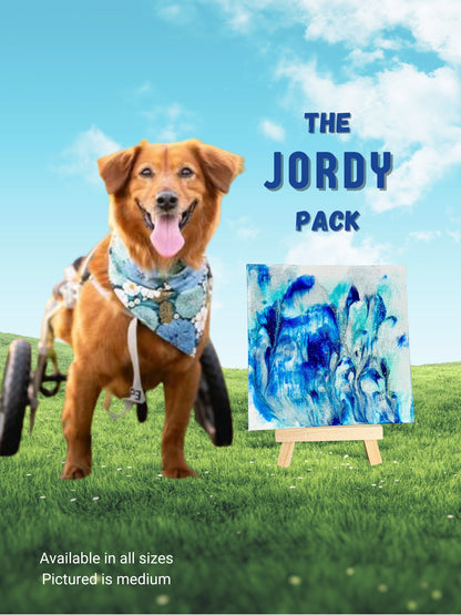 pawcasso jordy art kit
