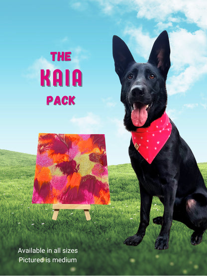 pawcasso kaia art kit
