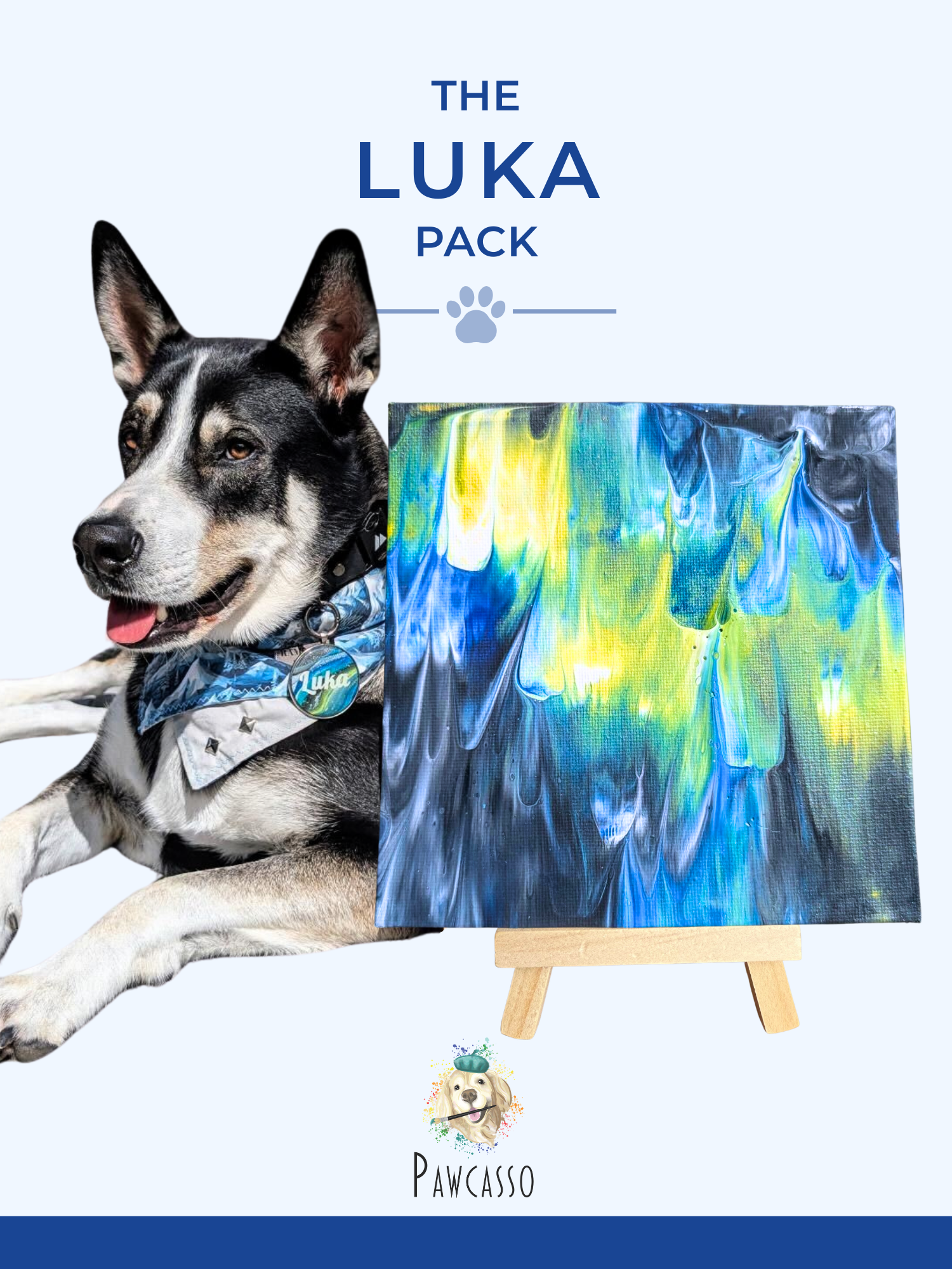 Pawcasso mess free dog art kit luka pack cover