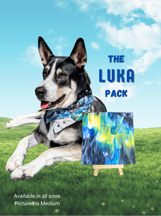 pawcasso luka art kit