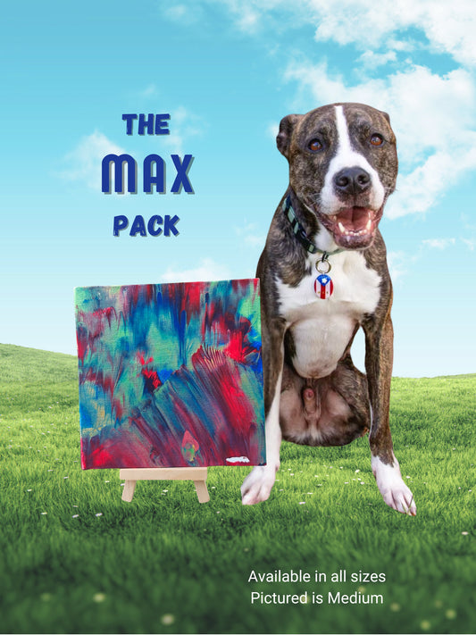 pawcasso max art kit