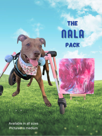 pawcasso nala art kit