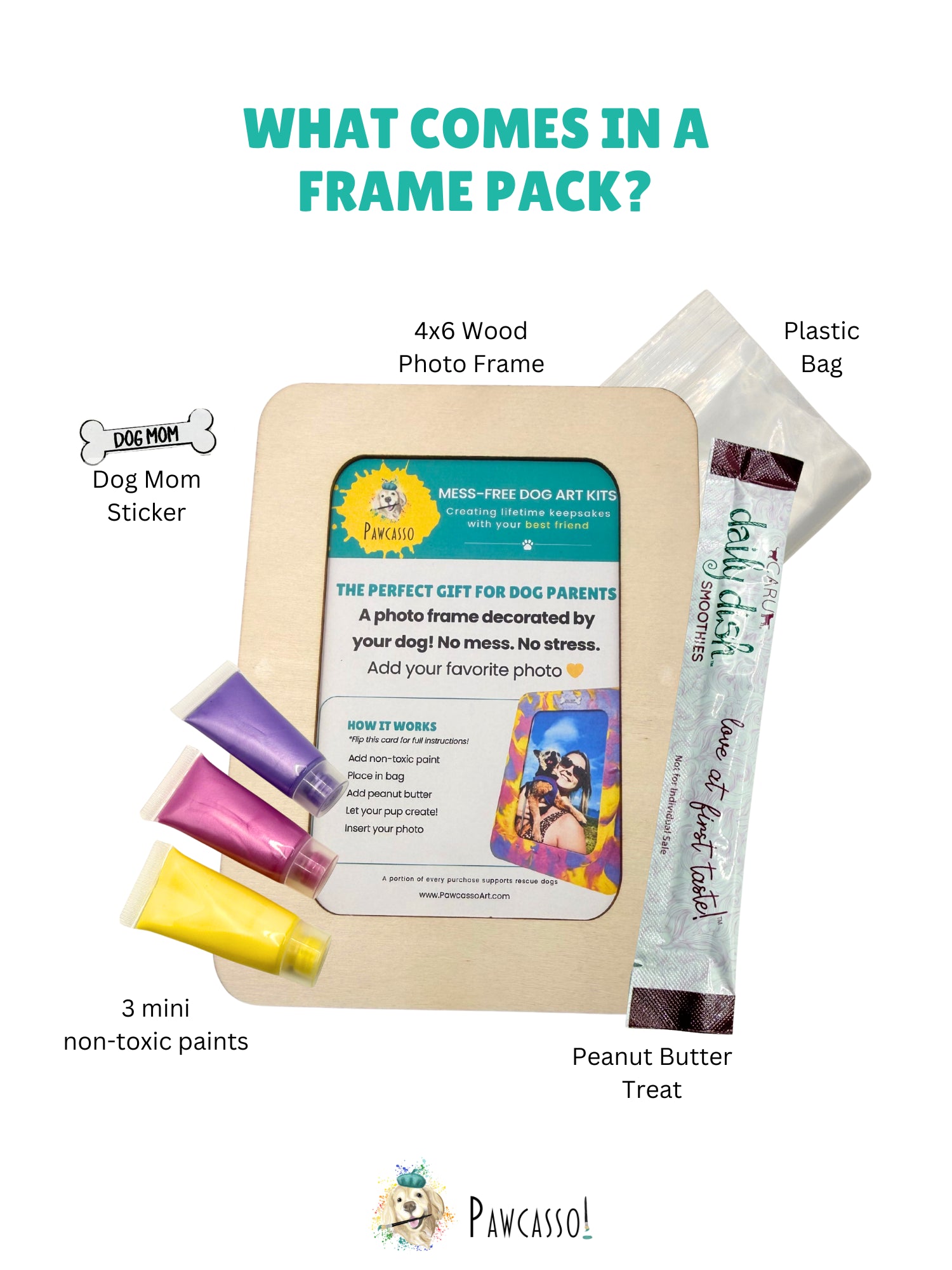 Pawcasso Dog Painting Frame Components