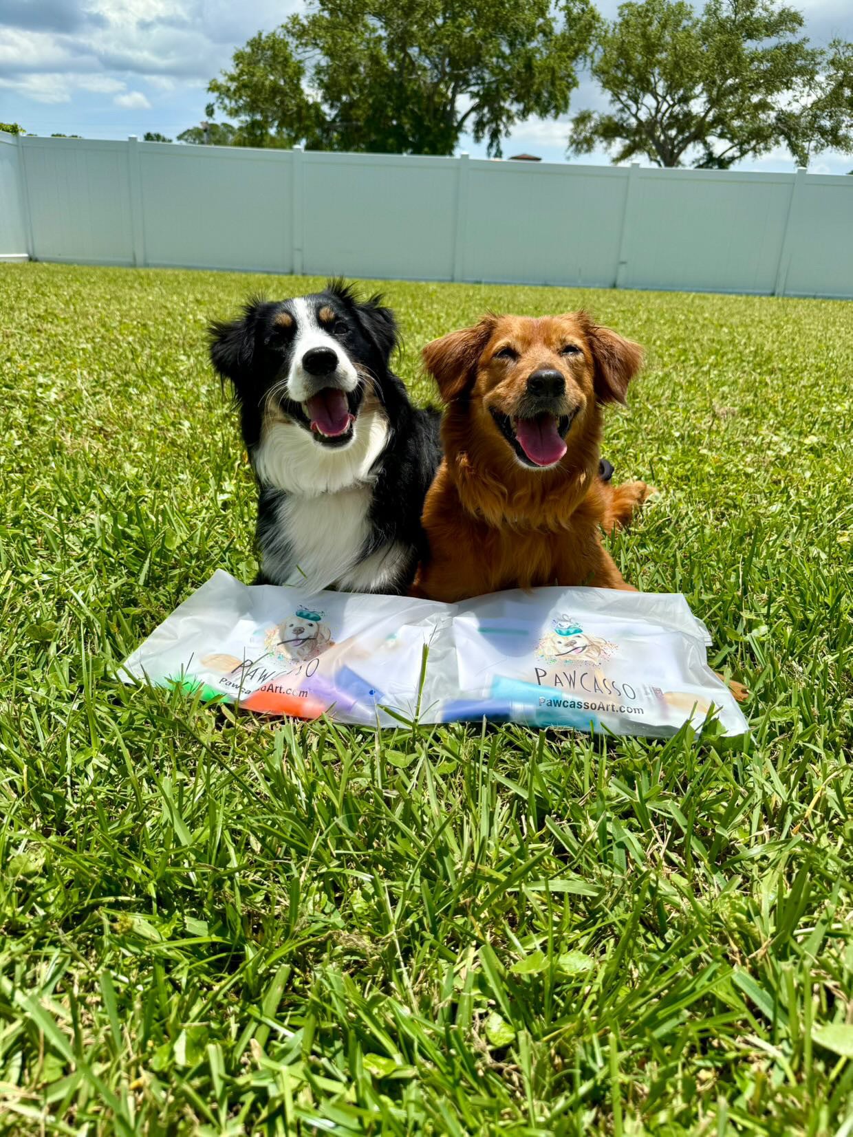 Pawcasso Dog Painting Kits