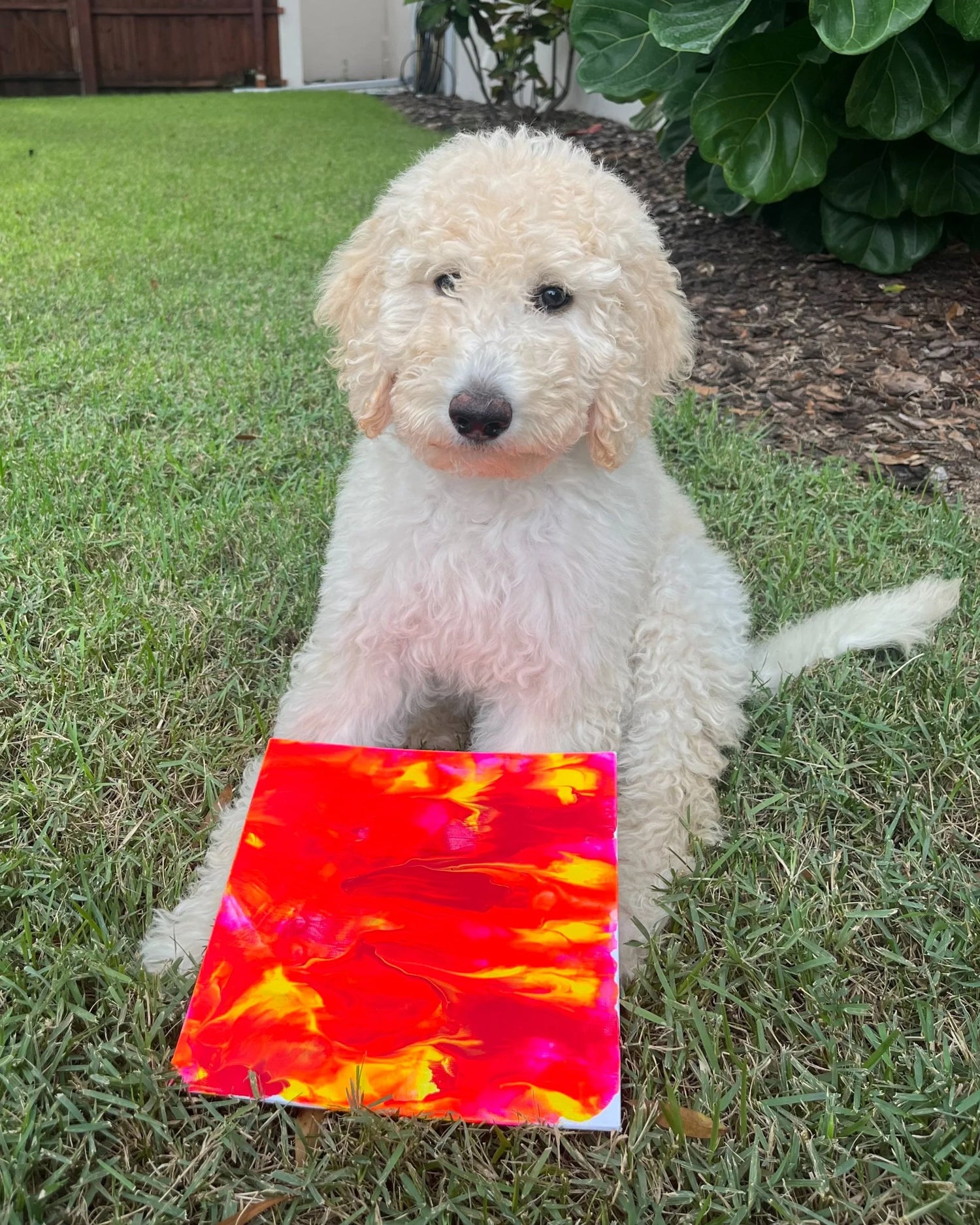 Pawcasso Dog with Art