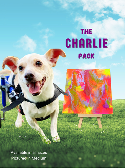 Pawcasso Mess-Free Dog Painting Kit Charlie Pack