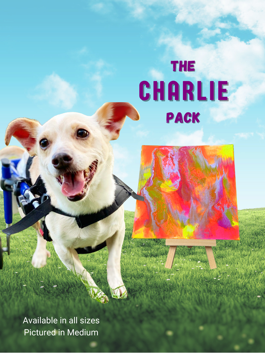 Pawcasso Mess-Free Dog Painting Kit Charlie Pack