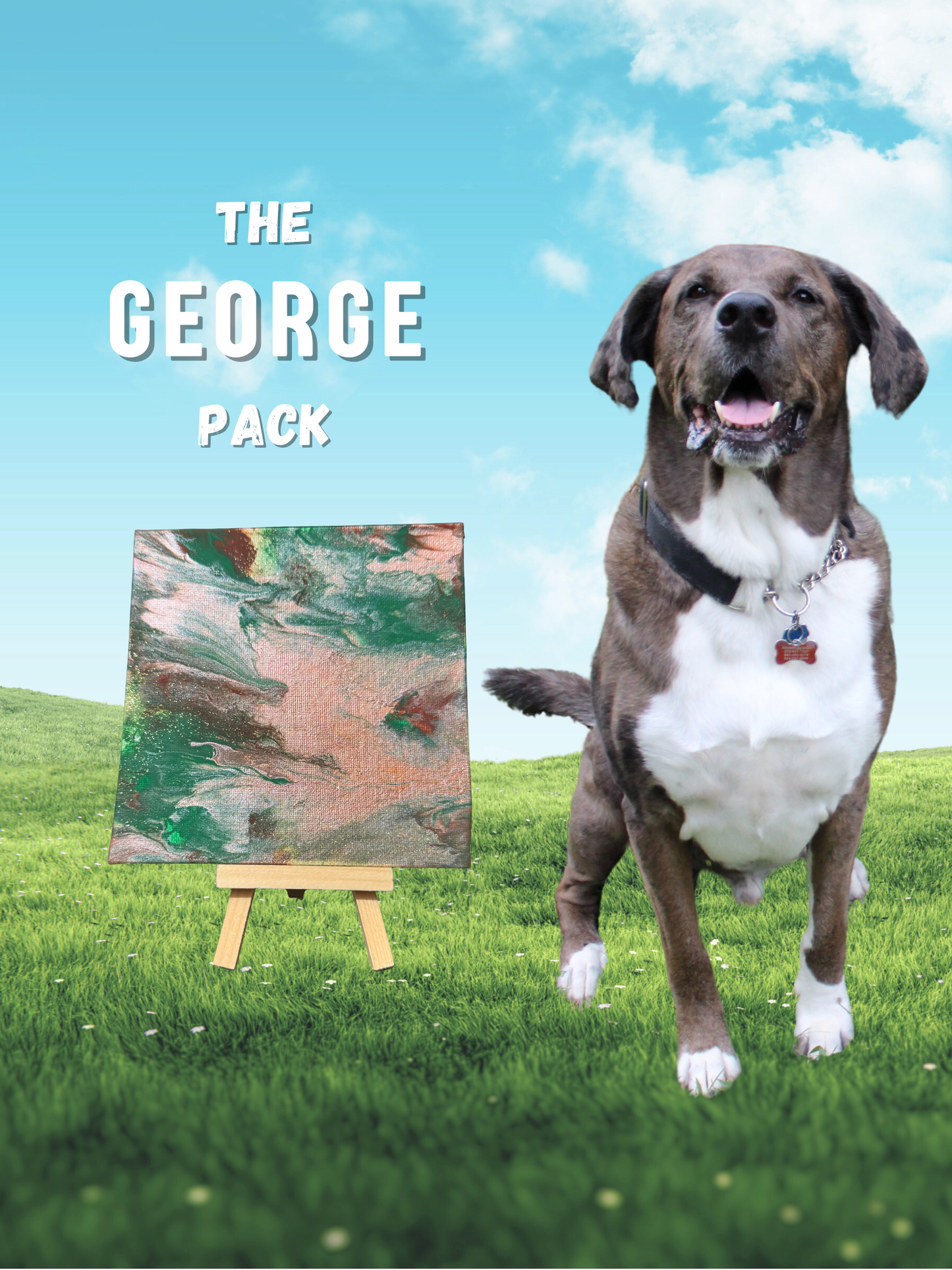 Pawcasso Mess-Free Dog Painting Kit George Pack Cover