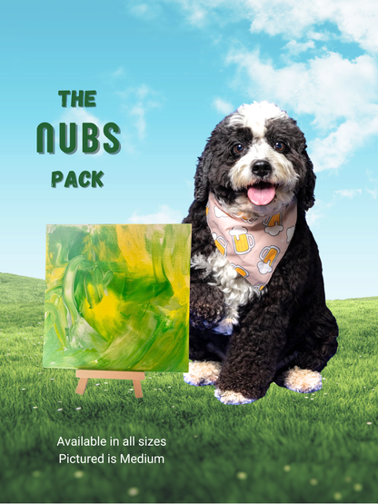 Pawcasso Mess Free Dog Painting Activity Kit Nubs Pack