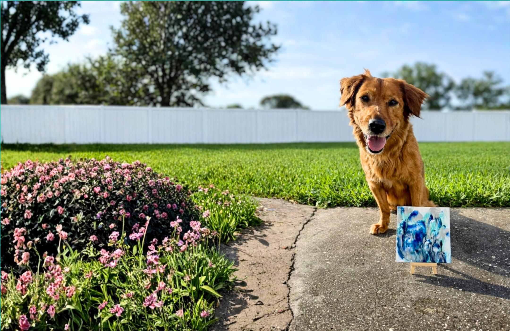 Pawcasso Mess Free Dog Painting Kits Cover Photo