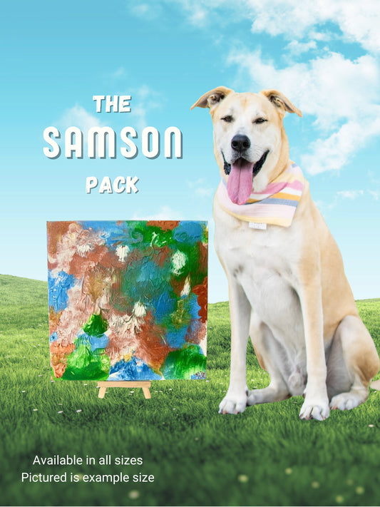 pawcasso samson art kit
