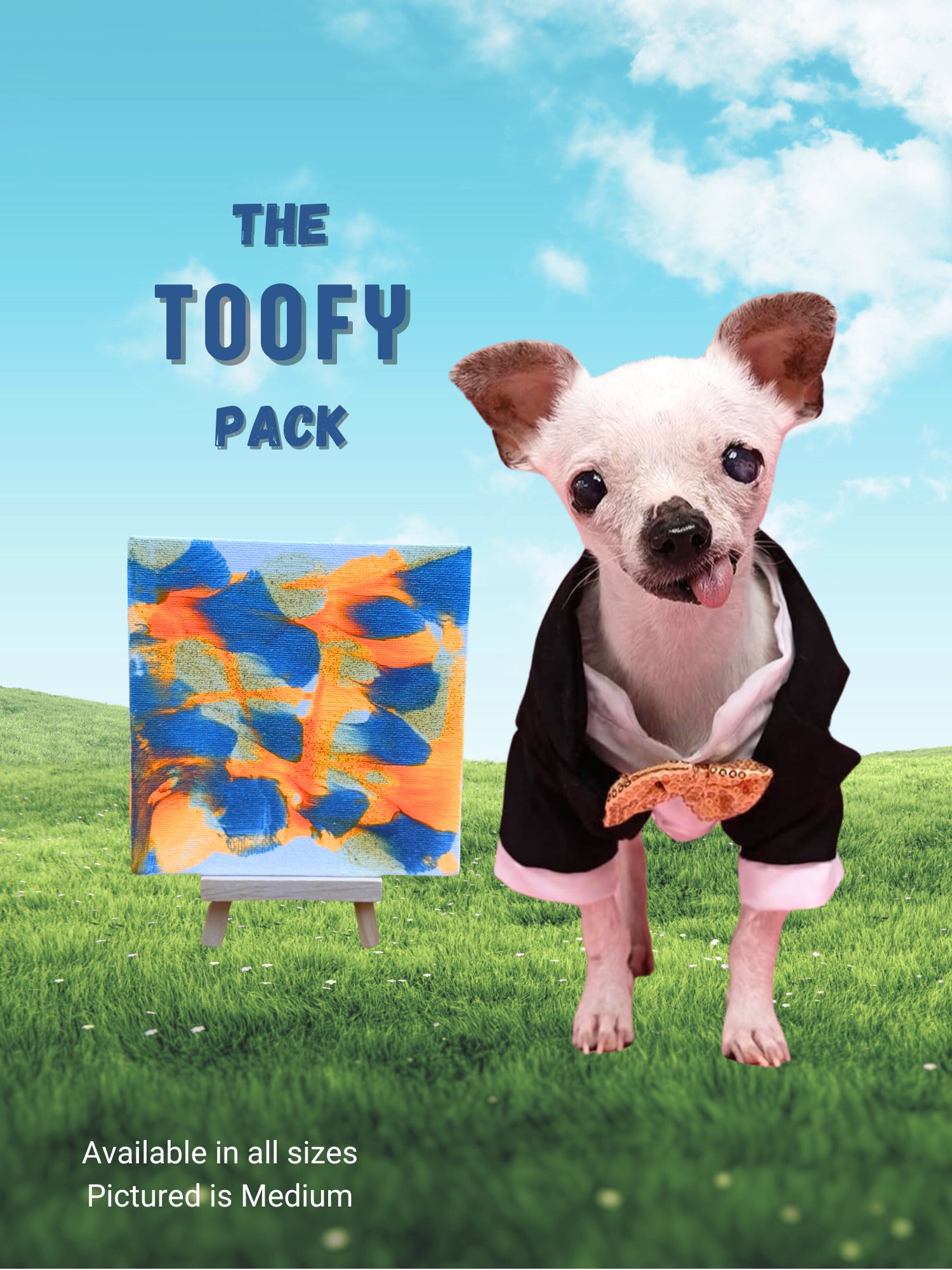 pawcasso Toofy art kit