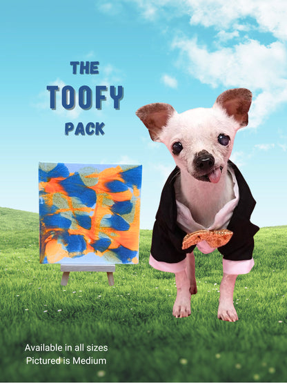 pawcasso Toofy art kit