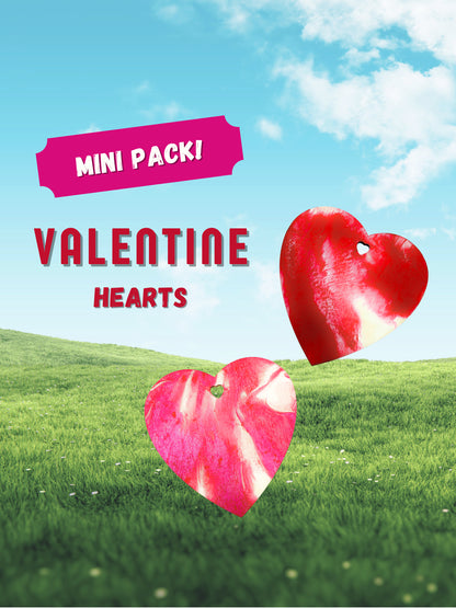 Pawcasso Valentines art kit